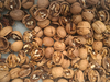 LiaoXi Walnut Inshell